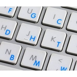 Apple Dvorak transparent keyboard sticker