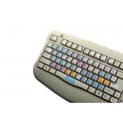 Sony Sonaps keyboard sticker