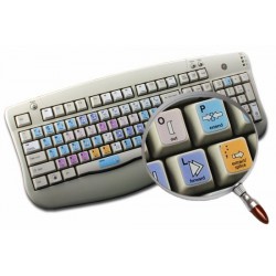 Sony Sonaps keyboard sticker