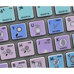 REASON Galaxy series keyboard sticker apple