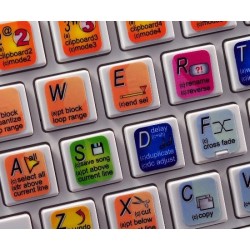 RENOISE keyboard sticker