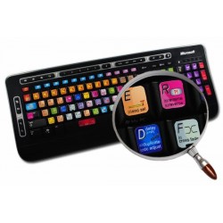 RENOISE keyboard sticker