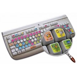 DVD Architect keyboard sticker