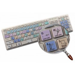 Corel Painter Galaxy series keyboard sticker apple