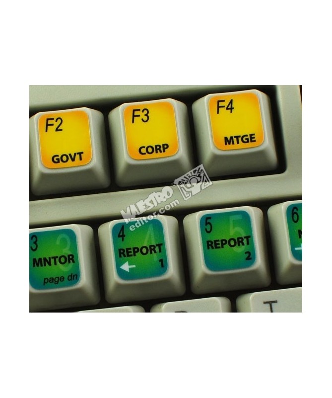 Bloomberg Terminal