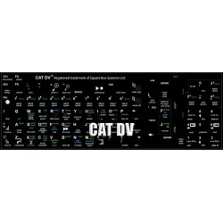 CAT DV keyboard sticker