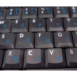 Svorak transparent keyboard  stickers